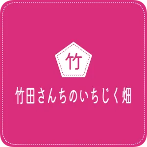 竹田さんちのいちじく畑